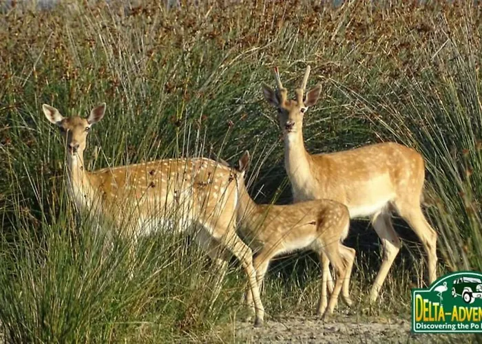 Regina Mare ليدو دي سكاشي